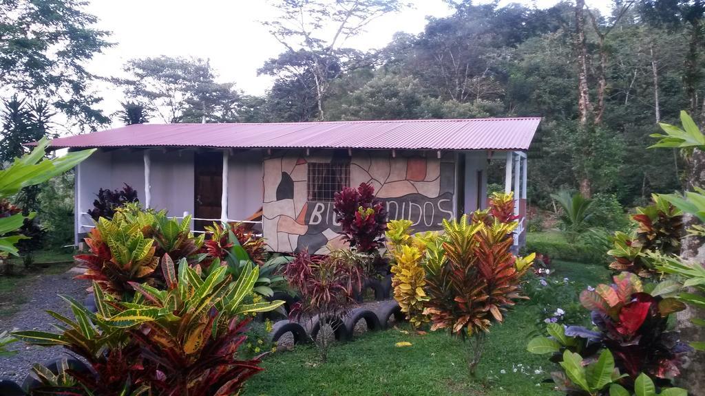 Nacientes Lodge Bijagua Eksteriør billede