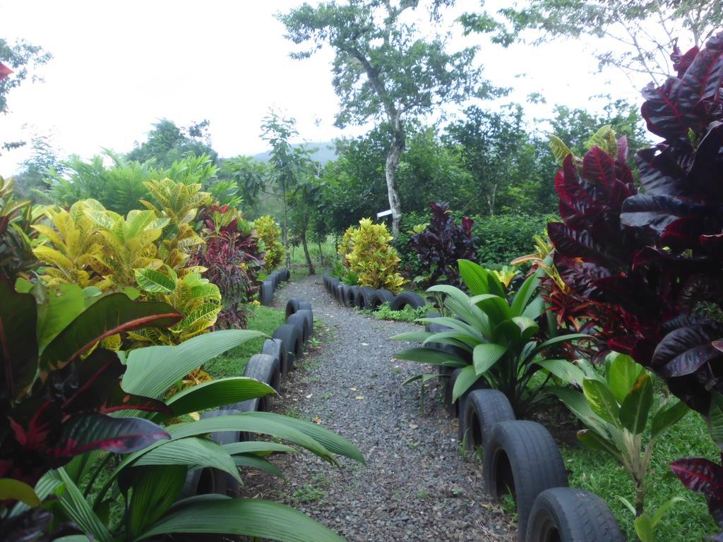 Nacientes Lodge Bijagua Eksteriør billede