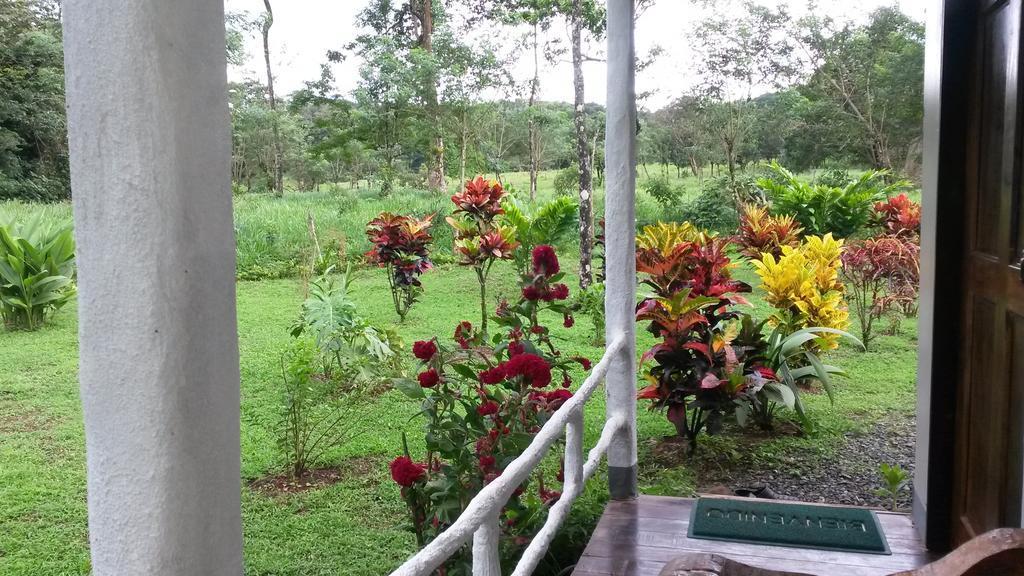Nacientes Lodge Bijagua Eksteriør billede